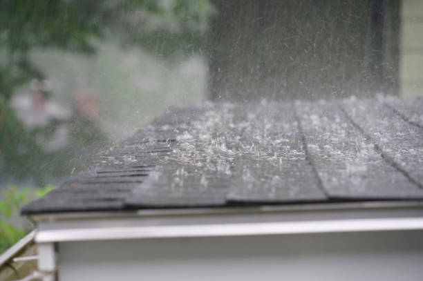 Best Rubber Roofing (EPDM, TPO)  in Homeacre Lyndora, PA